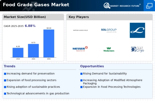 Food Grade Gases Market Infographic
