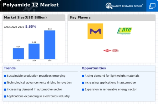 Polyamide 12 Market Infographic