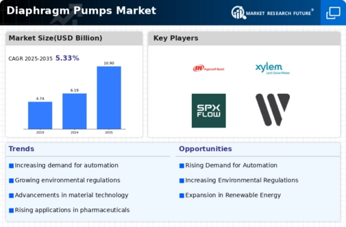 Diaphragm Pumps Market Infographic