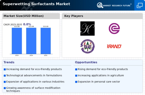 Superwetting Surfactants Market Infographic Superwetting Surfactants Market Infographic