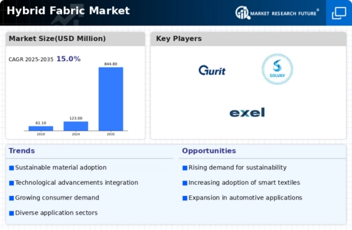 Hybrid Fabric Market Infographic