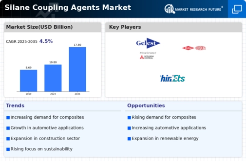 Silane Coupling Agents Market Infographic