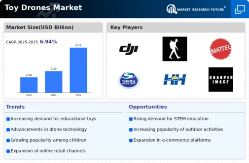 Toy Drones Market Infographic