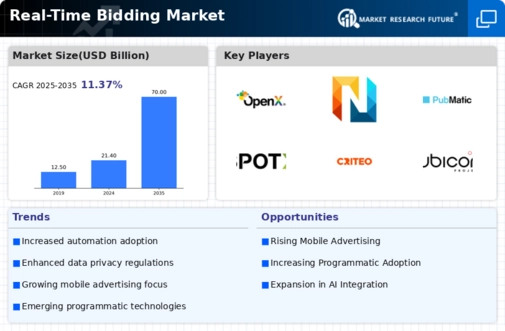 Real-Time Bidding Market Infographic