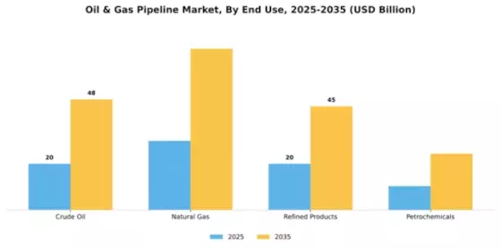 Oil & Gas Pipeline Market Segment Image 1