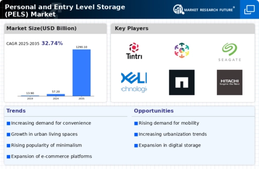 Personal Entry Level Storage Market Infographic