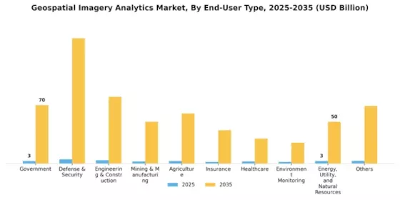 Geospatial Imagery Analytics Market Segment Image 2