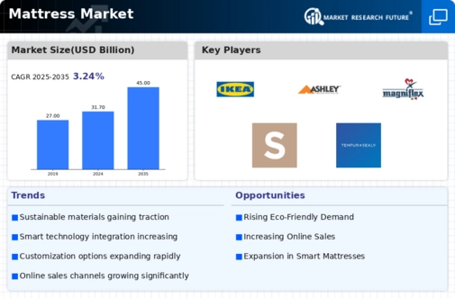 Mattress Market Infographic