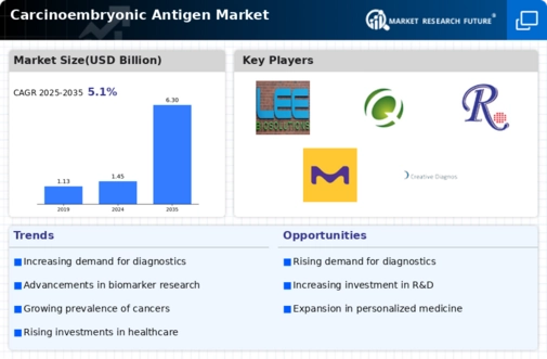 Carcinoembryonic Antigen Market Infographic