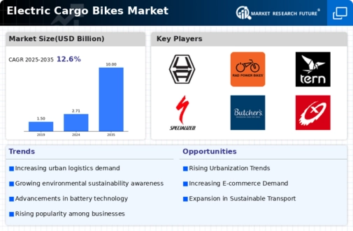 Electric Bikes Cargo Market Infographic