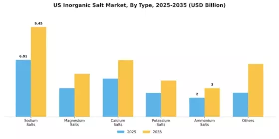US Inorganic Salt Market Segment Image 1