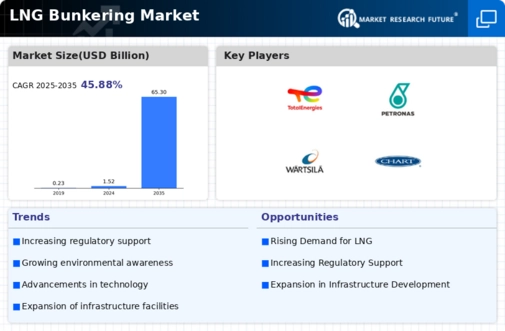 LNG Bunkering Market Infographic