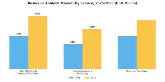 Reservoir Analysis Market Segment Image 1