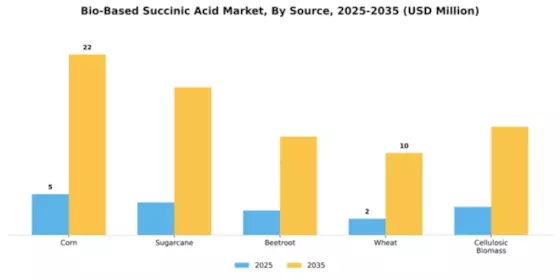 Bio-Based Succinic Acid Market Segment Image 4