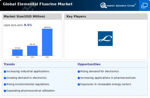 Elemental Fluorine Market Infographic