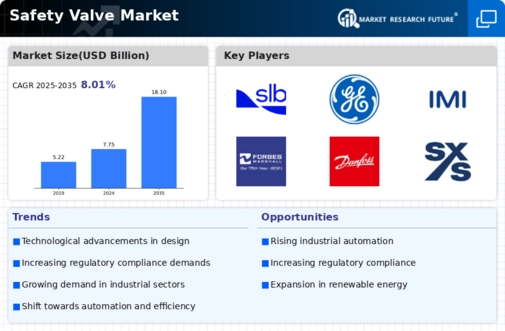 Safety Valve Market Infographic