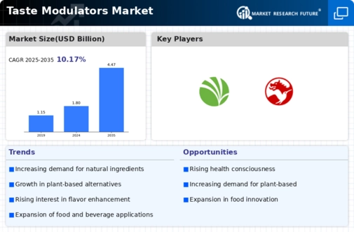 Taste Modulators Market Infographic