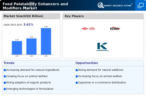 Feed Palatability Enhancers Modifiers Market Infographic