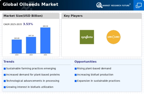 Oilseeds Market Infographic