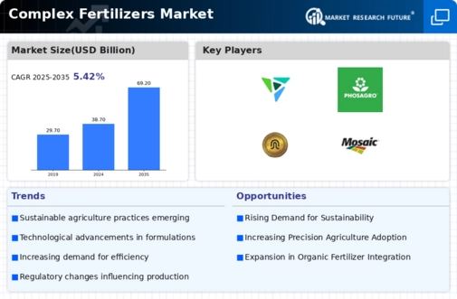 Complex Fertilizers Market Infographic