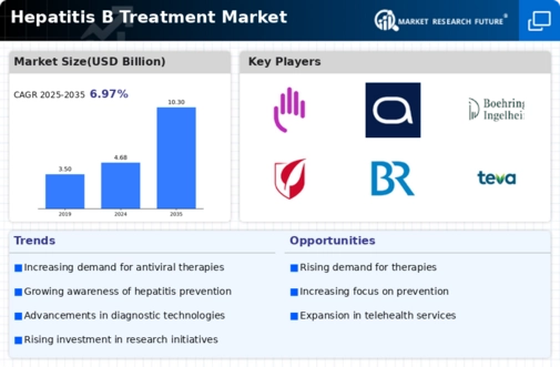Hepatitis B Treatment Market Infographic