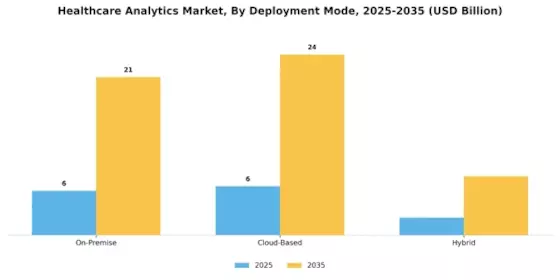 Healthcare Analytics Market Segment Image 1