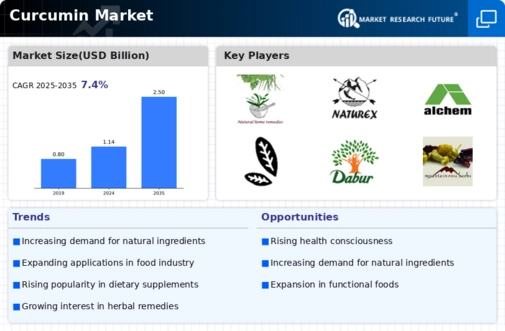 Curcumin Market Infographic