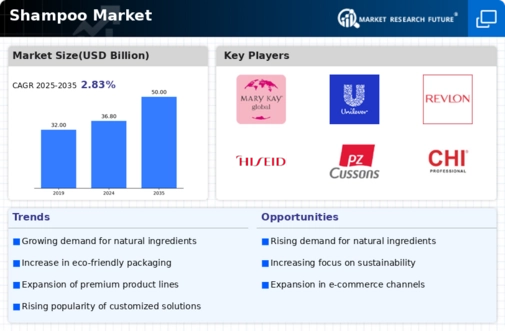 Shampoo Market Infographic