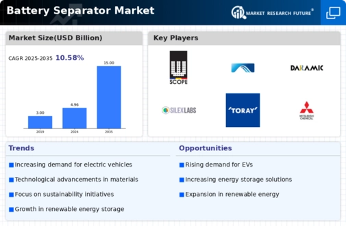 Battery Separator Market Infographic