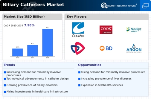 Biliary Catheters Market Infographic