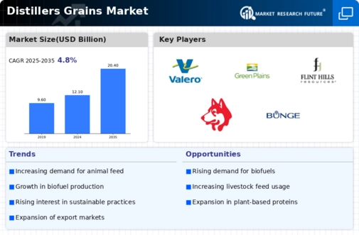 Distillers Grains Market Infographic