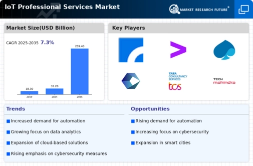 IoT Professional Services Market Infographic