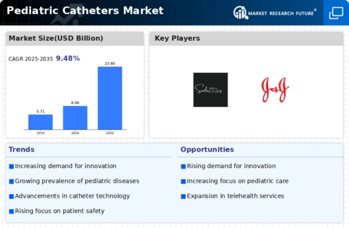 Pediatric Catheters Market Infographic