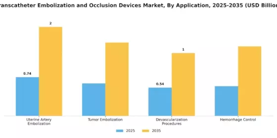 Transcatheter Embolization and Occlusion Devices Market Segment Image 0