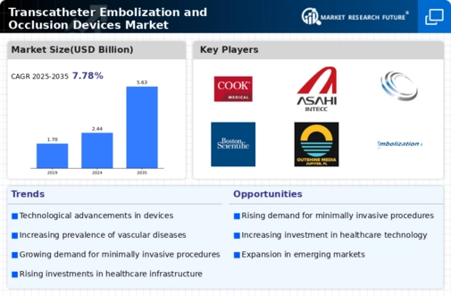 Transcatheter Embolization and Occlusion Devices Market Infographic