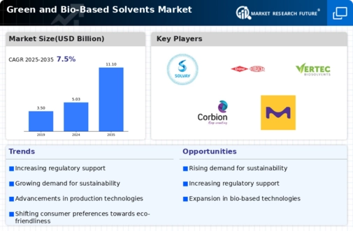Green and Bio-Based Solvents Market Infographic