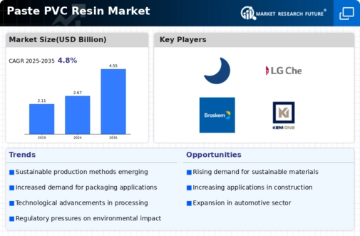 Paste PVC Resin Market Infographic