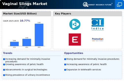 Vaginal Slings Market Infographic