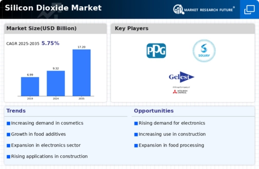 Silicon Dioxide Market Infographic