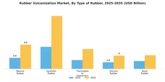 Rubber Vulcanization Market Segment Image 2