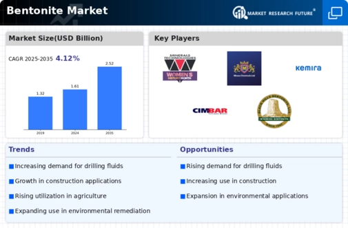 Bentonite Market Infographic