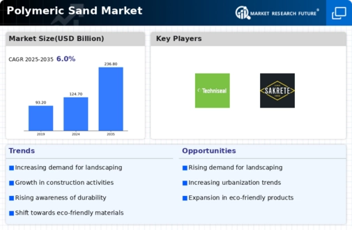Polymeric Sand Market Infographic