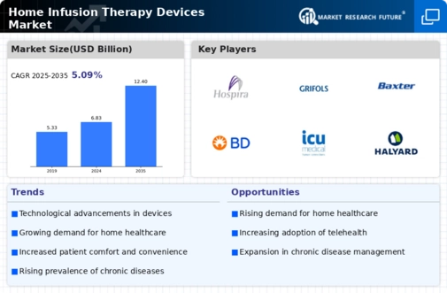 Home Infusion Therapy Devices Market Infographic