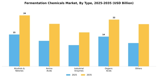 Fermentation Chemicals Market Segment Image 1