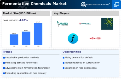 Fermentation Chemicals Market Infographic