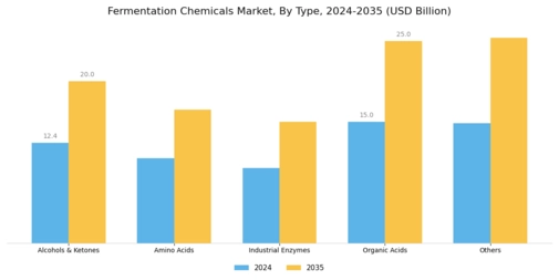 Fermentation Chemicals Market Segment Image 0
