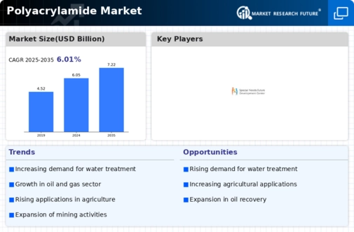 Polyacrylamide Market Infographic