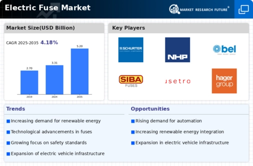 Electric Fuse Market Infographic
