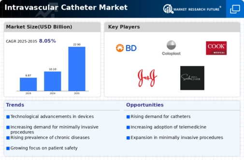 Intravascular Catheter Market Infographic