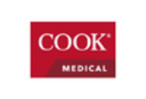 Intravascular Catheter Market key player